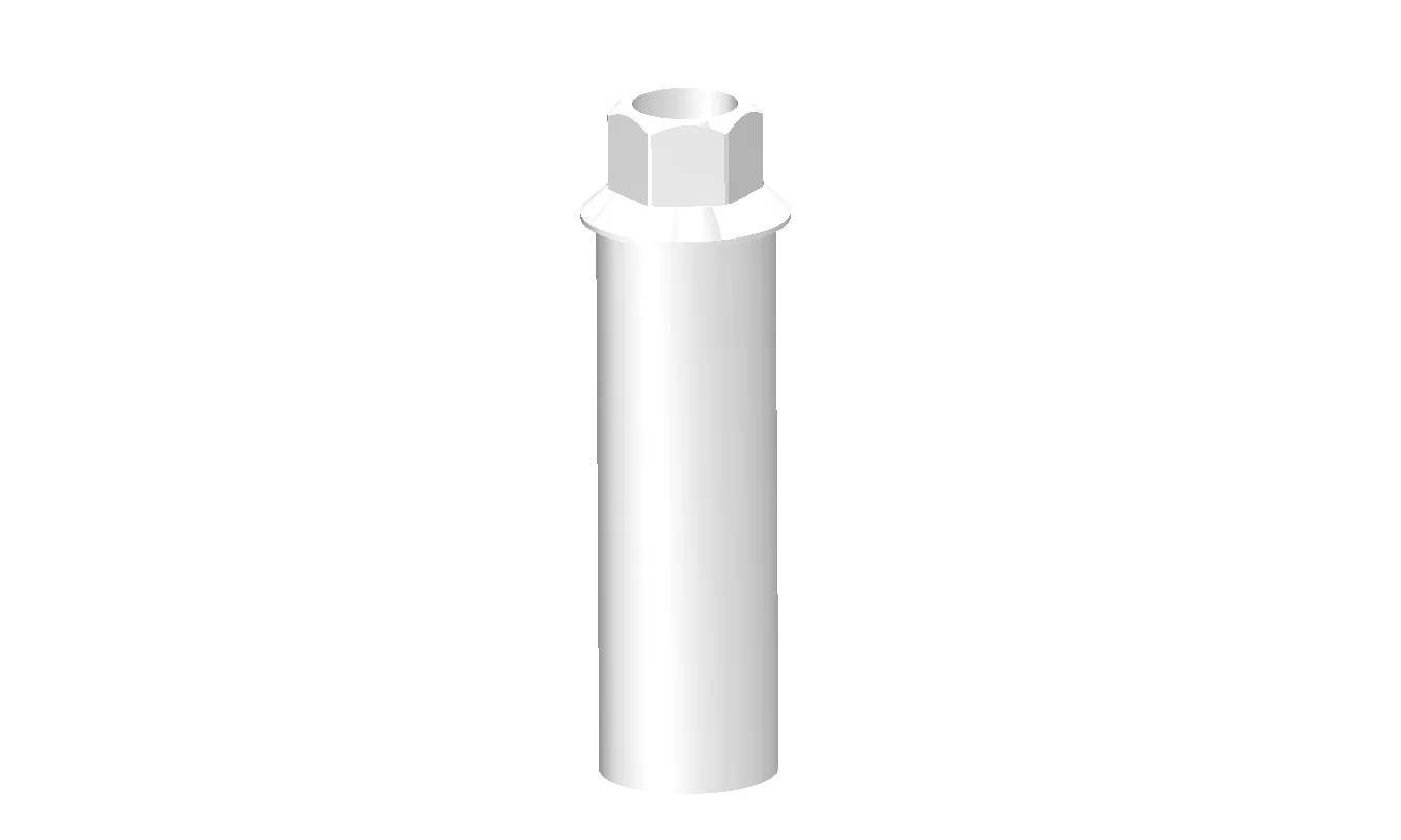PEEK Abutment